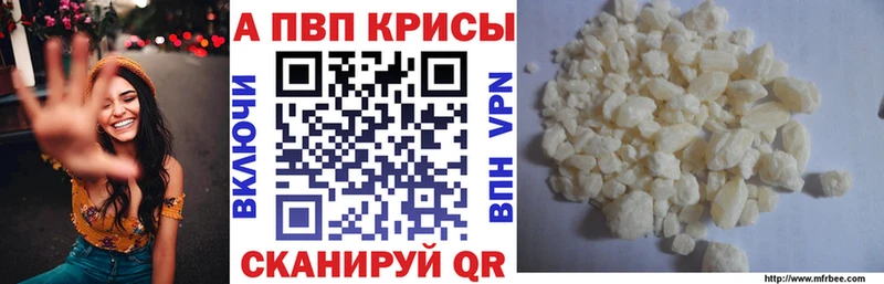 A PVP СК Тогучин