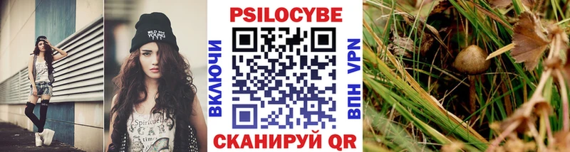 Псилоцибиновые грибы Magic Shrooms  Тогучин 
